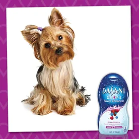 DASANI: Social Content (4 of 5)