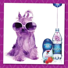 DASANI: Social Content (5 of 5)